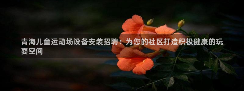 富联娱乐怎么样知乎:青海儿童运动场设备安装招聘:为您的社区打