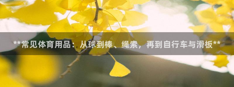 富联平台升 5O6917 平台:**常见体育用品:从球到棒、