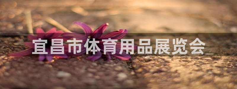 富联娱乐测速怎么样:宜昌市体育用品展览会