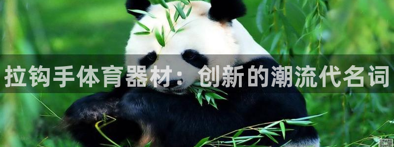 富联平台登陆:拉钩手体育器材:创新的潮流代名词