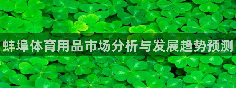 富联智能科技学院:蚌埠体育用品市场分析与发展趋势预测